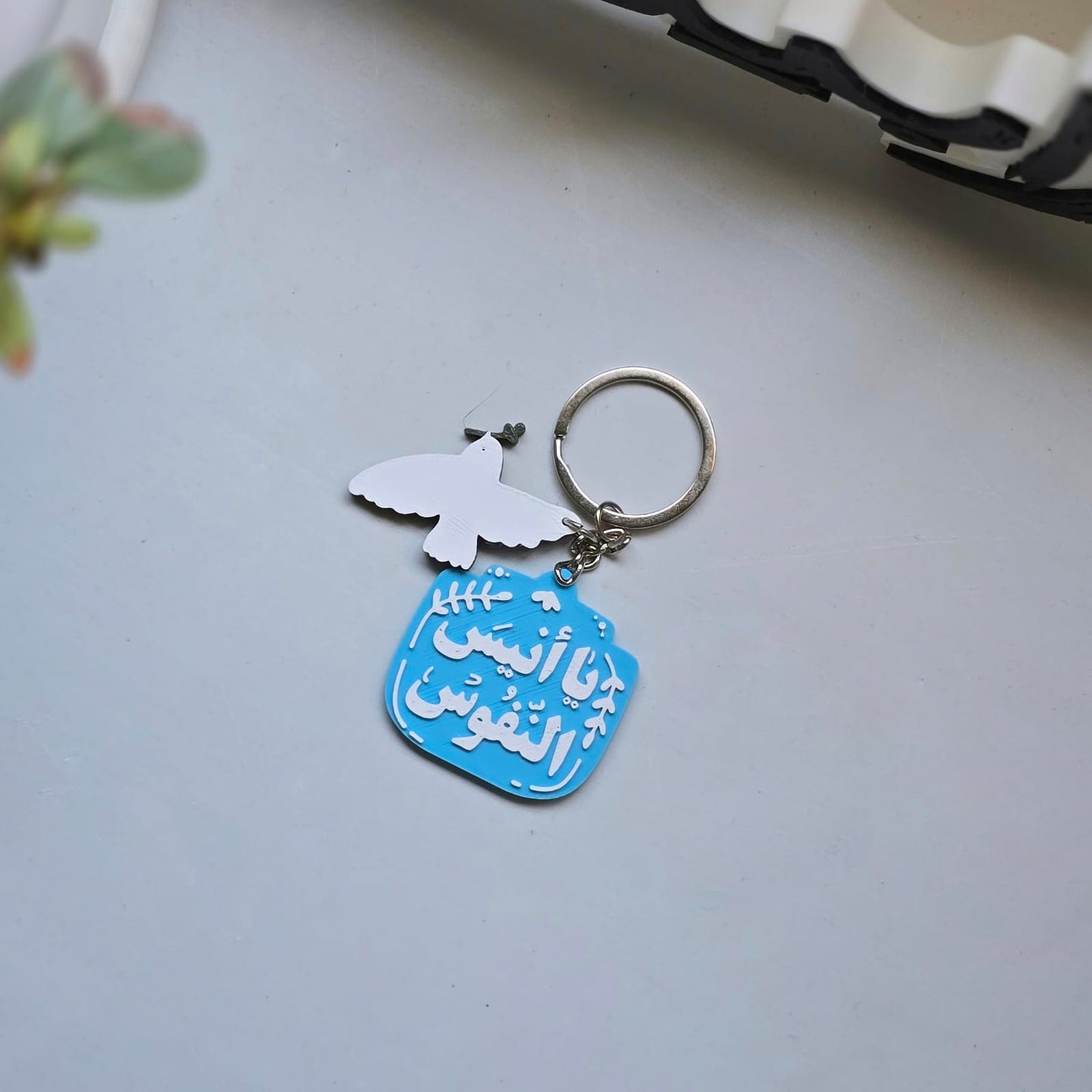 تعليقة أنيس النفوس